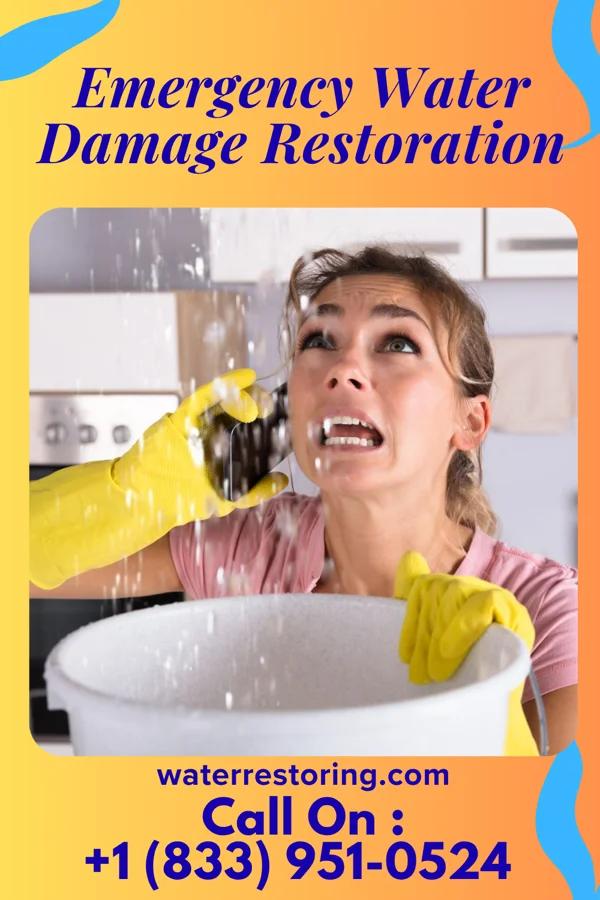 Emergency Water Damage Restoration in Luthersville, GA