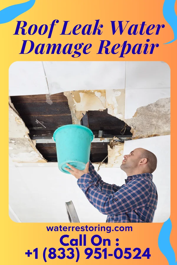 Roof Leak Water Damage Repair in Luthersville, GA